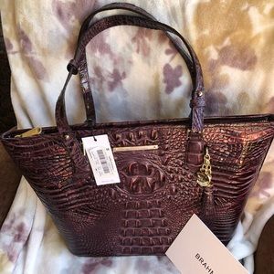 Brahmin Fig Medium Asher